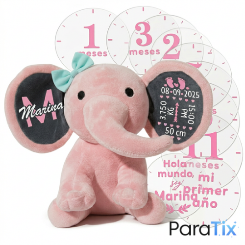 Pack Nacimiento: Babyfante + Set Placas Cumple-mes