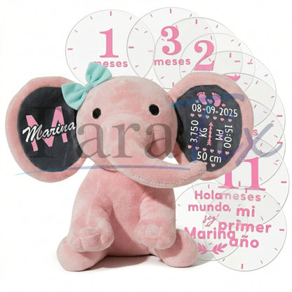 Pack Nacimiento: Babyfante + Set Placas Cumple-mes