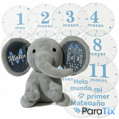 Pack Nacimiento: Babyfante + Set Placas Cumple-mes